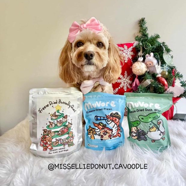 MISSELLIEDONUT.CAVOODLE