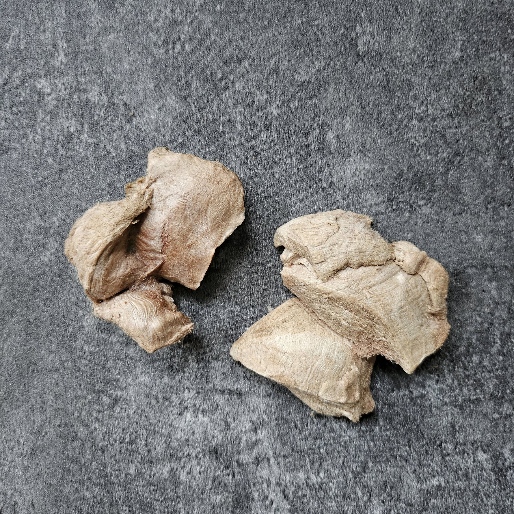 Freeze dried wallaby