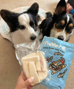 Two dogs looking at a package of Mulee freeze-dried hoki fillets.