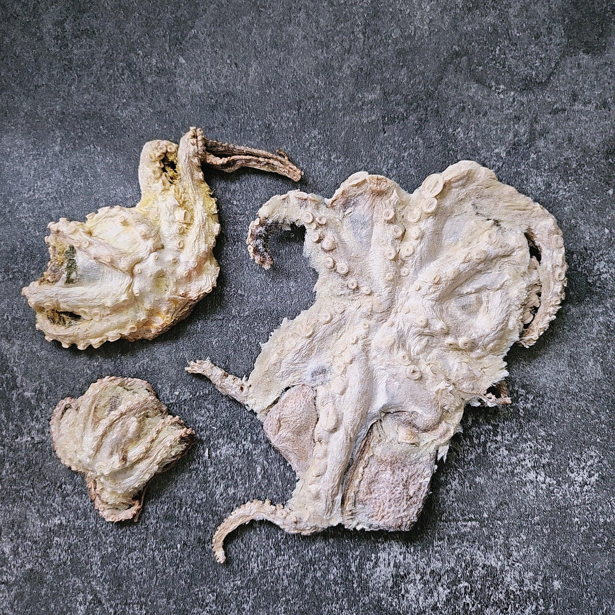 freeze Dried octopus pieces on a dark textured surface