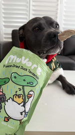Dog with a package of Muverr freeze-dried duck tenderloin on a table
