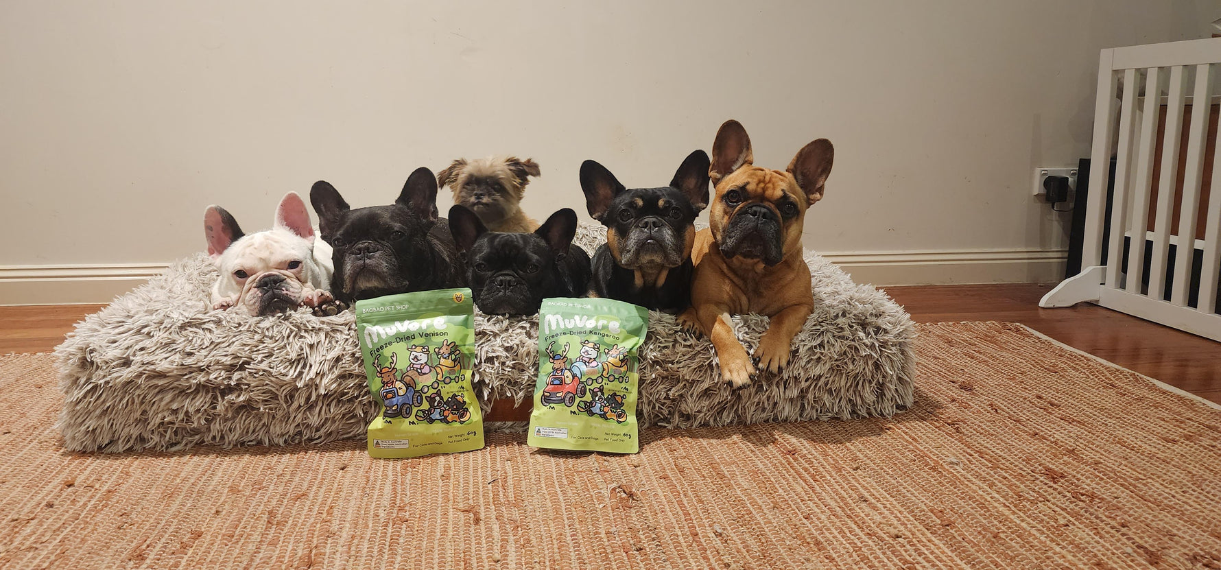 Group of dogs sitting on a fluffy rug with two bags of freeze dried kangaroo and venison in front.