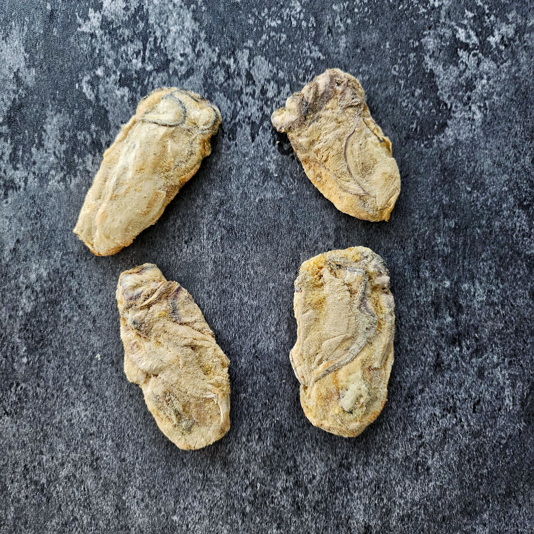 freeze dried oyster