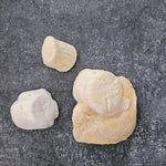 Three pieces of freeze dried scallops on a dark gray surface