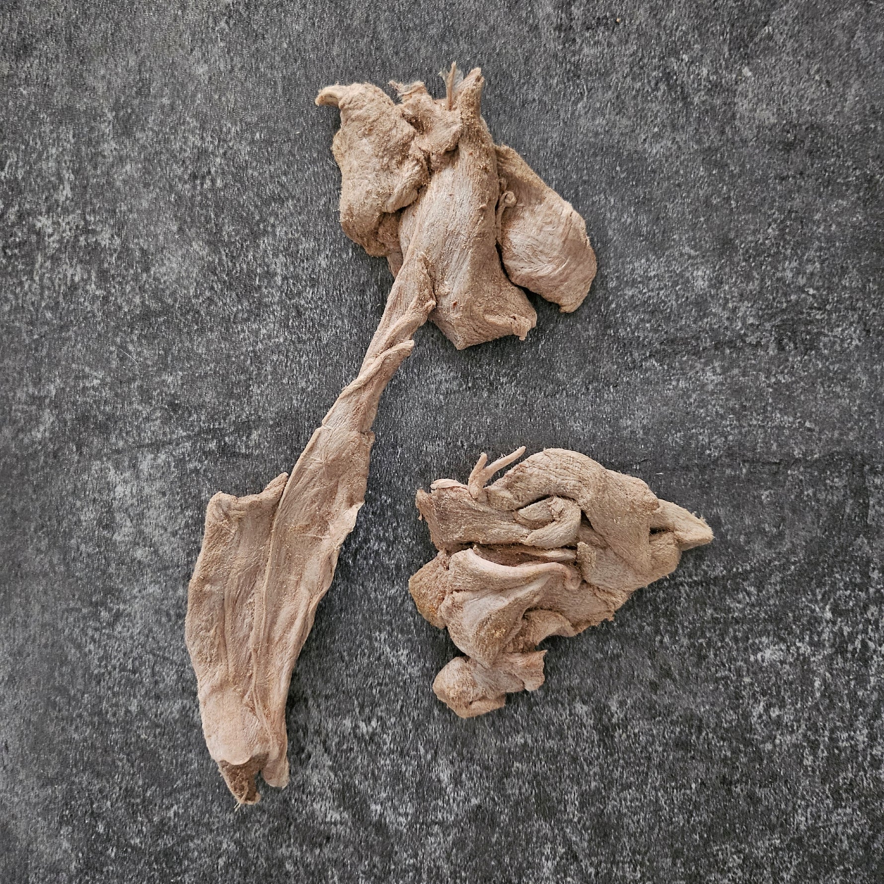 freeze dried wallaby meat