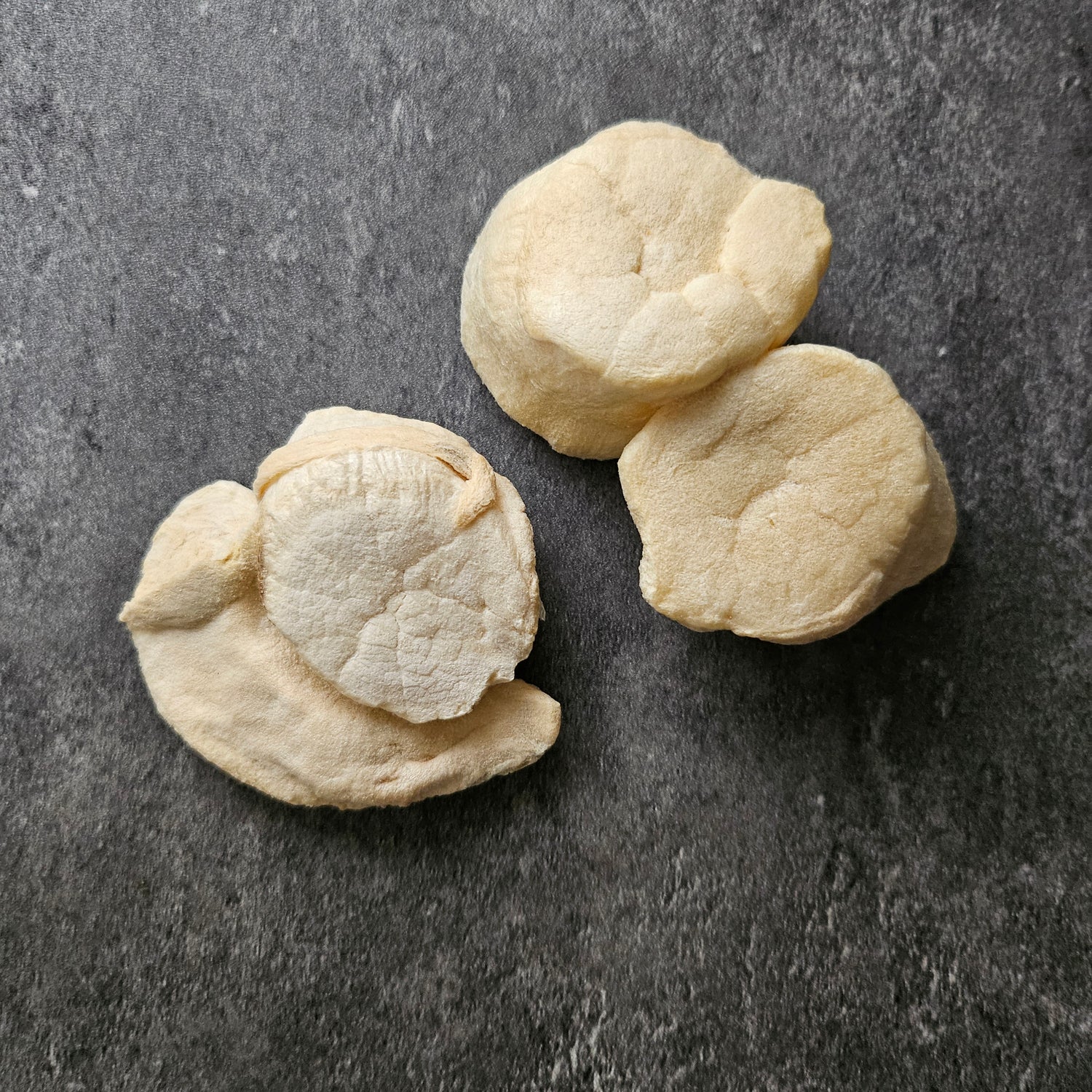 Freeze-Dried Japanese Scallop