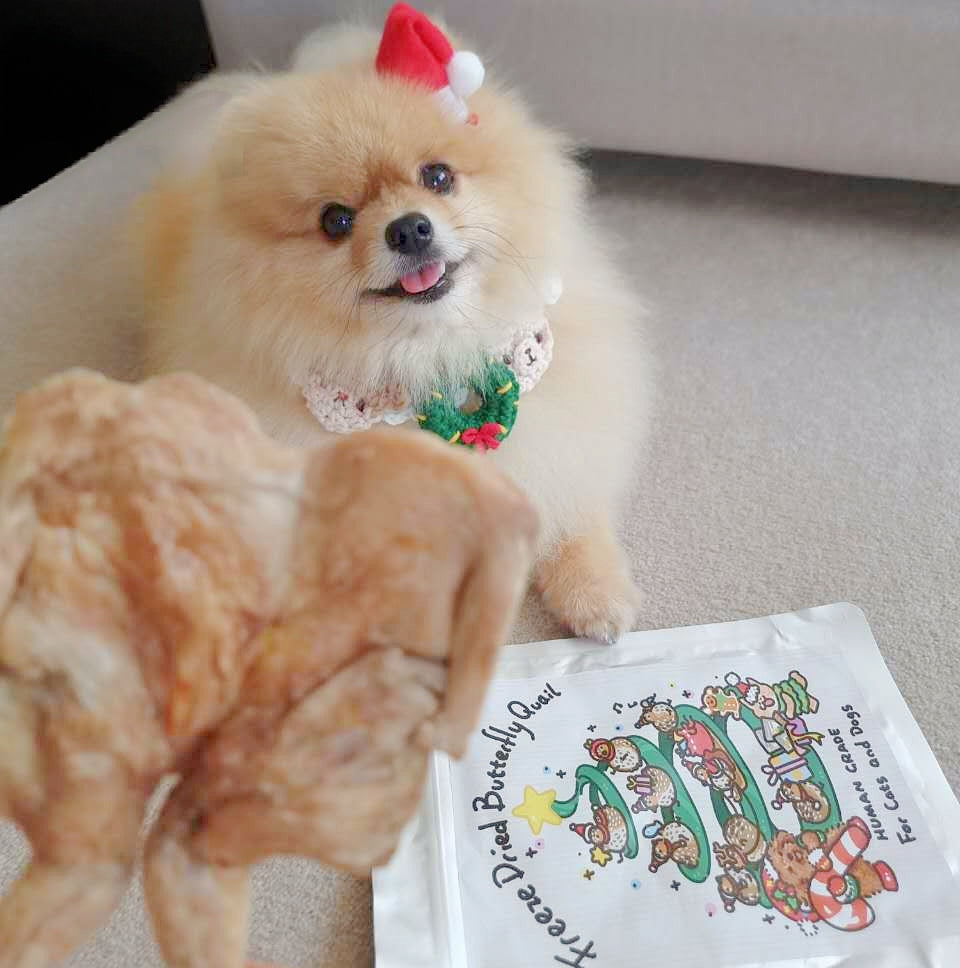 Freeze Dried Butterfly Quail