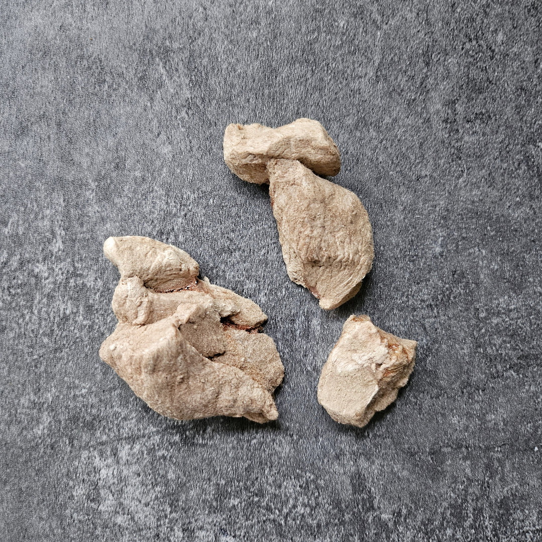 Freeze-Dried Kangaroo Meat