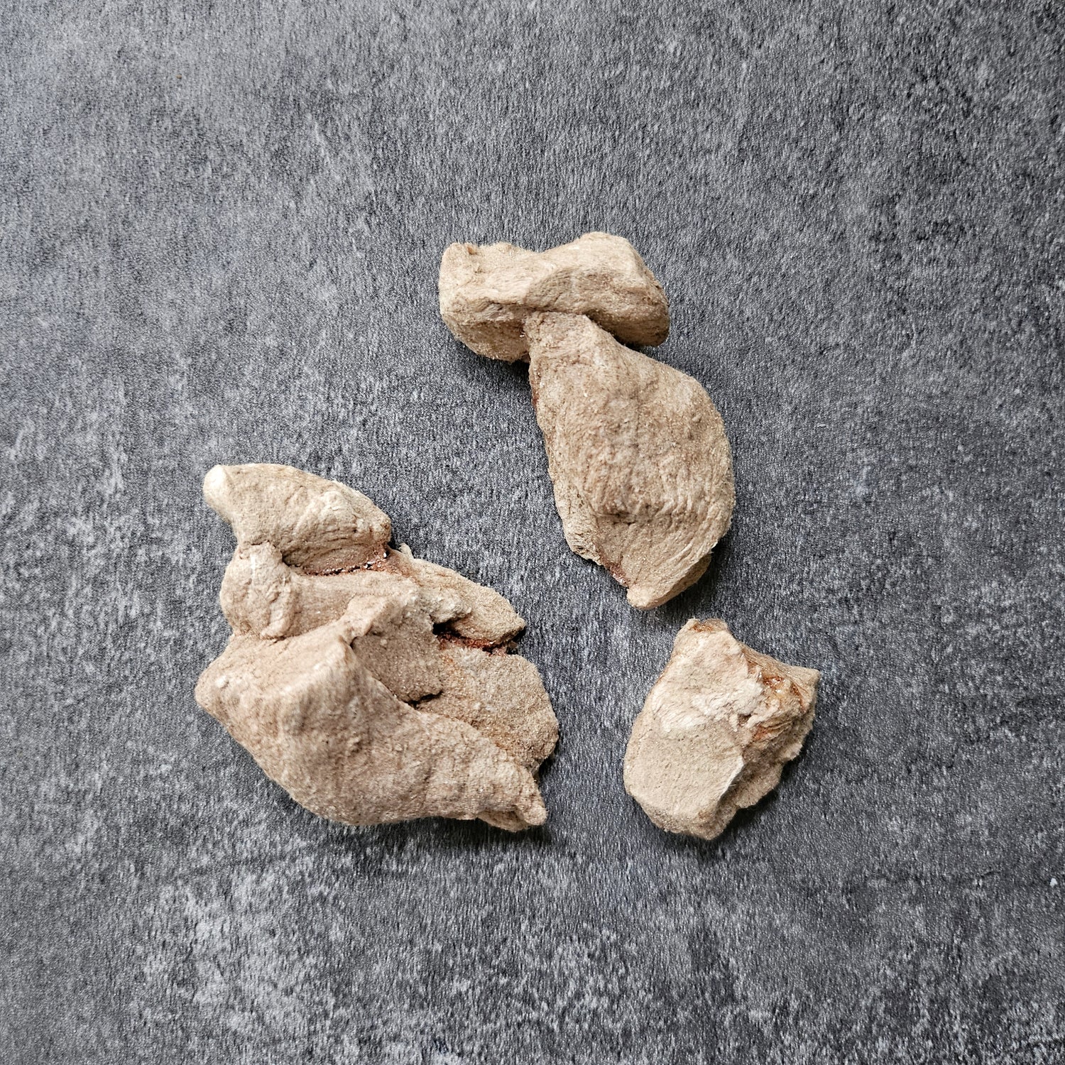 Freeze Dried Kangaroo