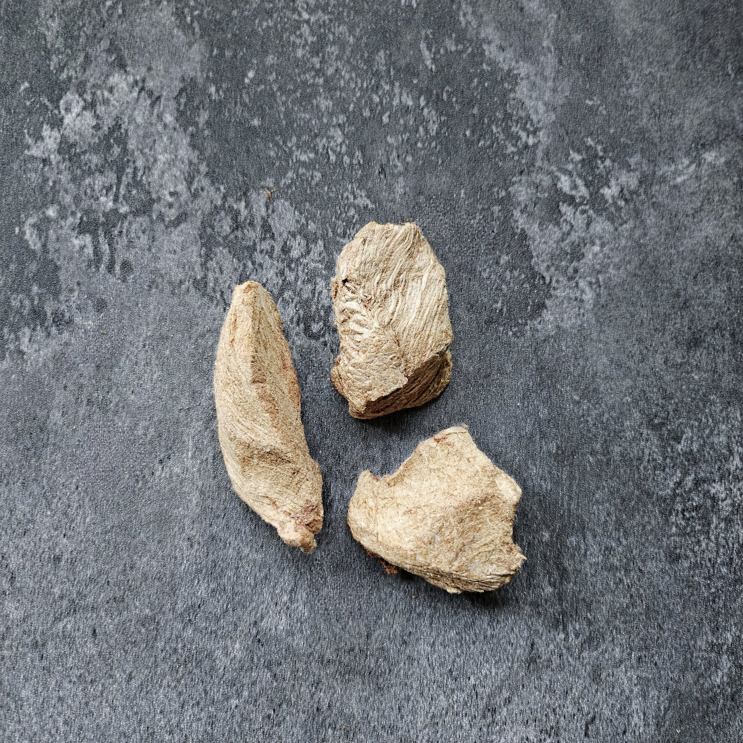 Freeze-Dried Camel Meat