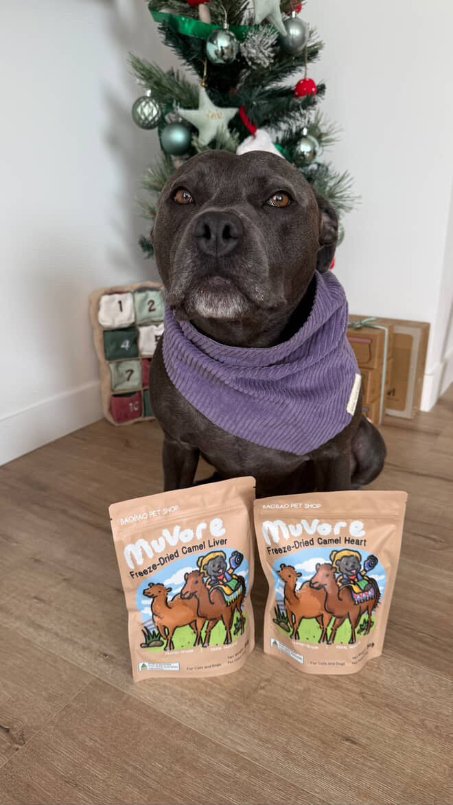 Freeze-Dried Camel Heart