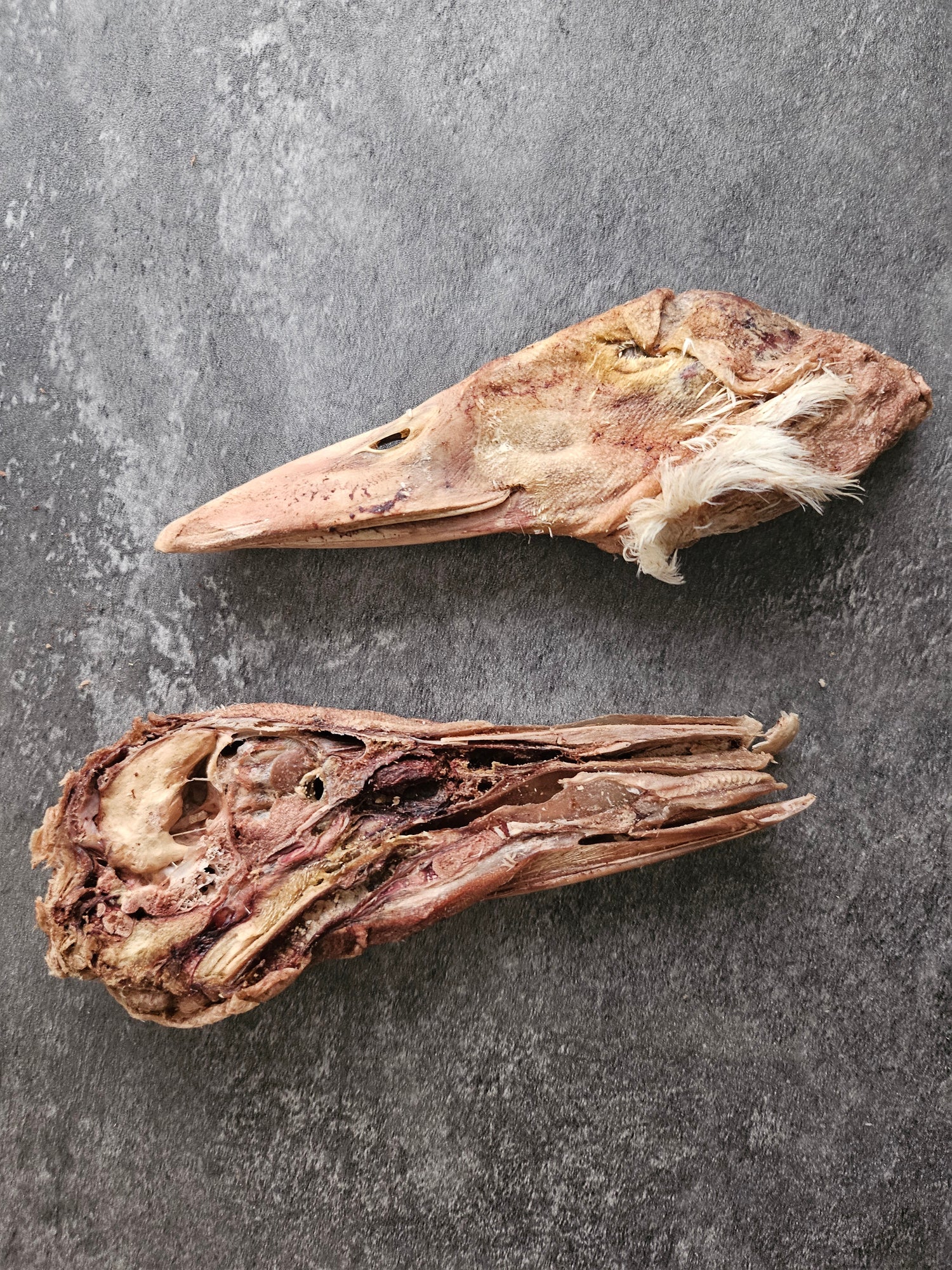 Freeze-Dried Duck Head