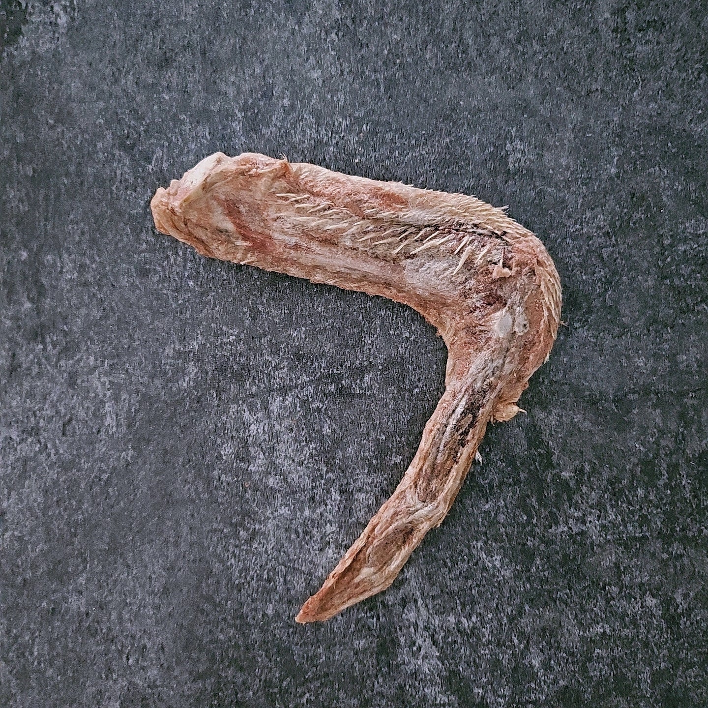 Freeze-Dried Duck Wing