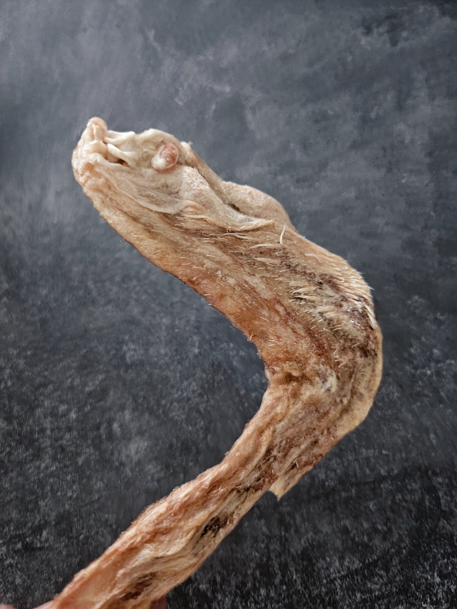 Freeze-Dried Duck Wing