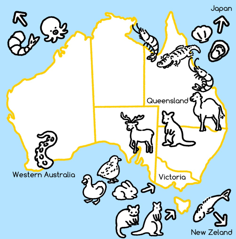 sourcing map